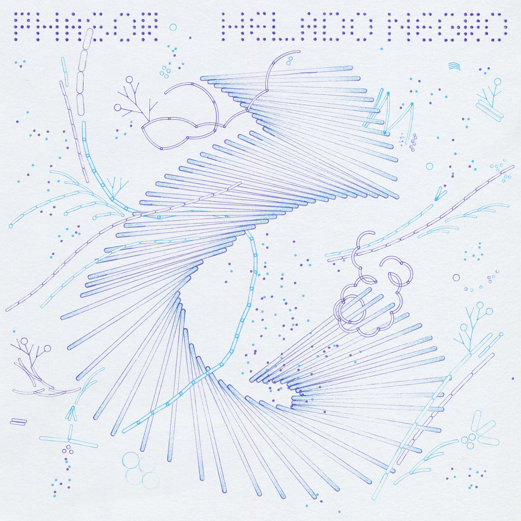 HELADO NEGRO : PHASOR [4AD]