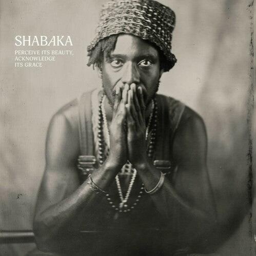 Shabaka Perceive Its Beauty Impulse