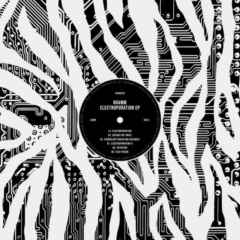 NOAMM : ELECTROPORATION EP [Tiger Weeds]