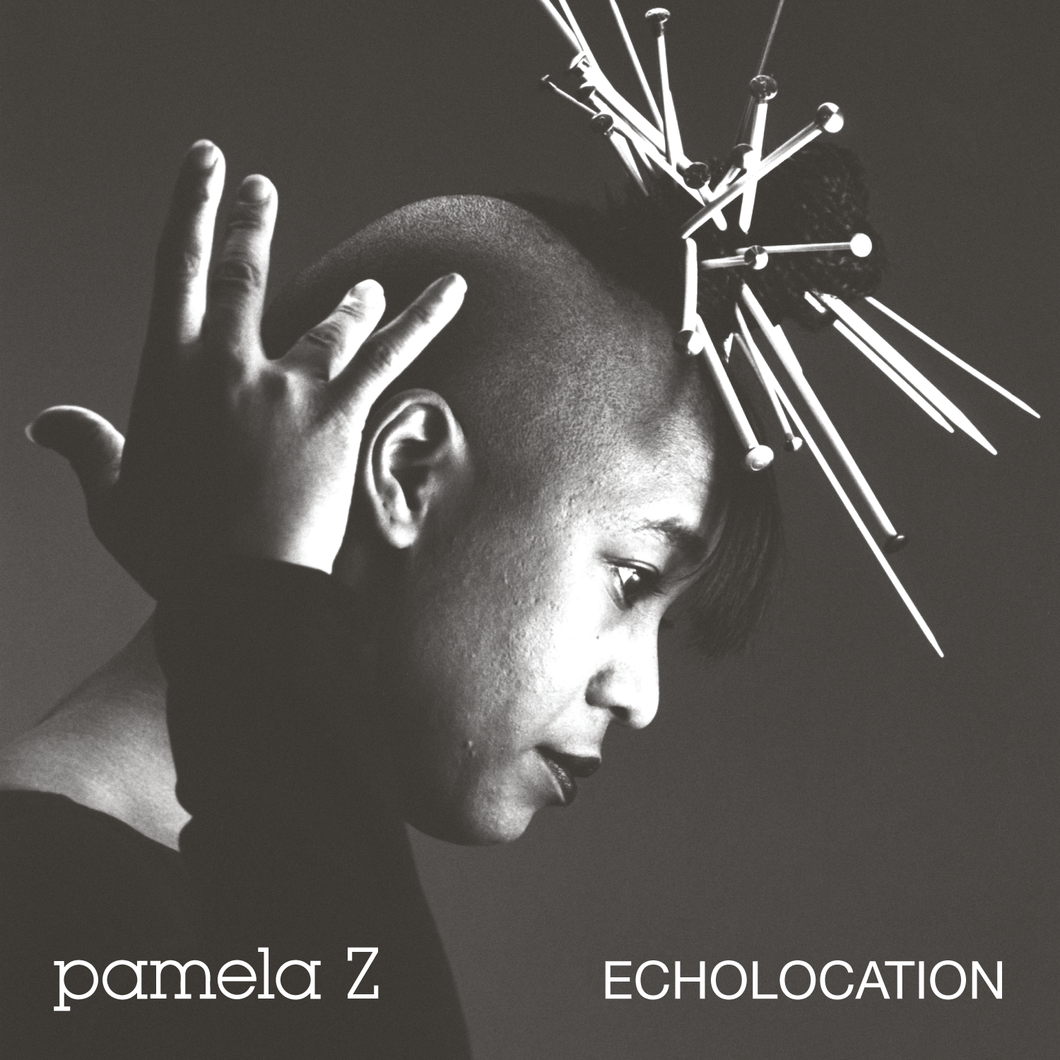 Pamela Z Echolocation