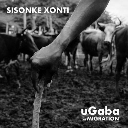 Sisonke Xonti Ugaba The Migration As Shams